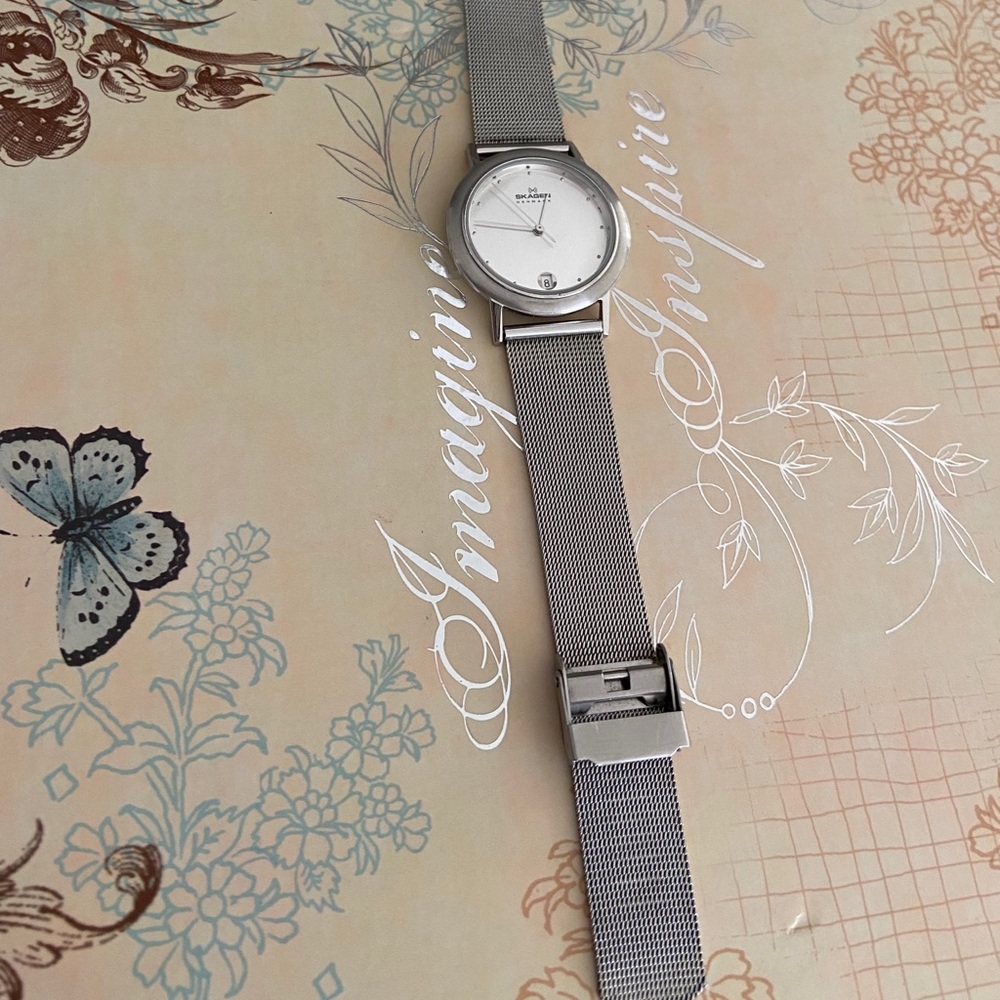 Skagen stainless steel mesh watch